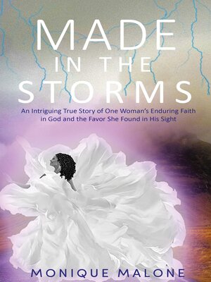 cover image of Made in the Storms